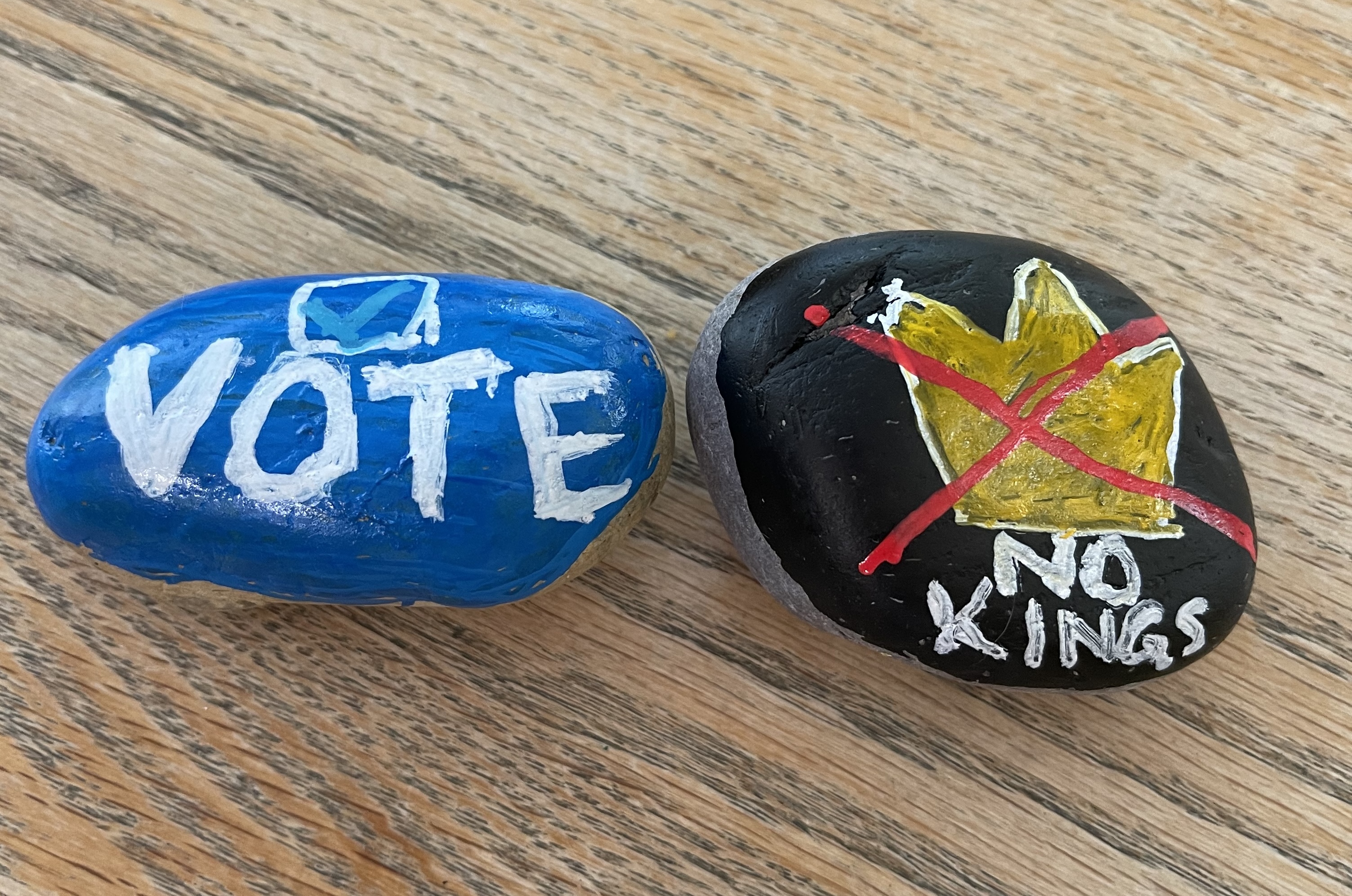 Picture of two painted rocks with democracy theme